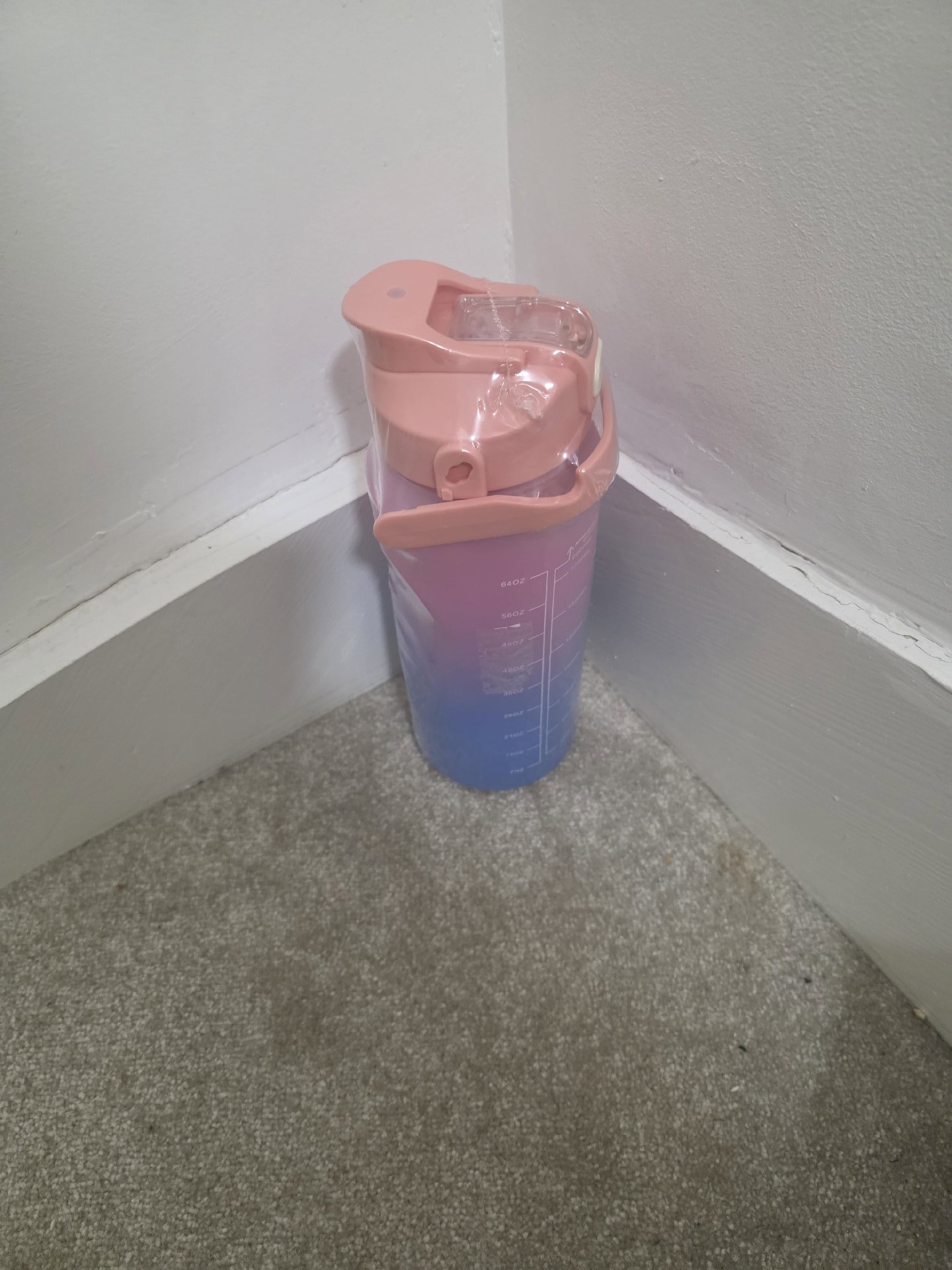Gradient Pink and Blue Plastic Water Bottle with Motivational Markings, Unbranded, Extra Large, New condition — preloved on SilentSale®