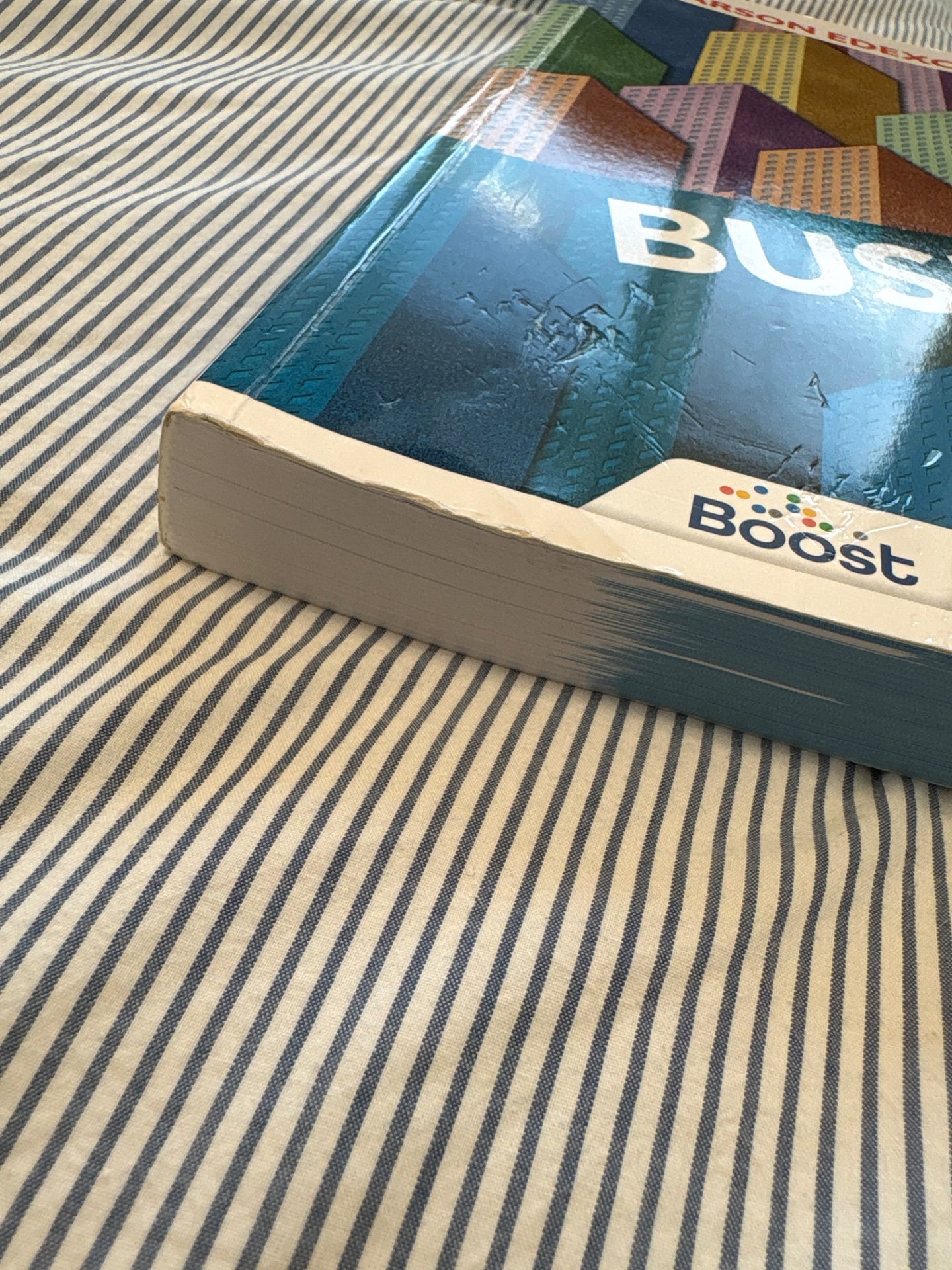 A Level Edexcel Business Studies Textbook, Pearson, One Size, Like New condition — preloved on SilentSale®