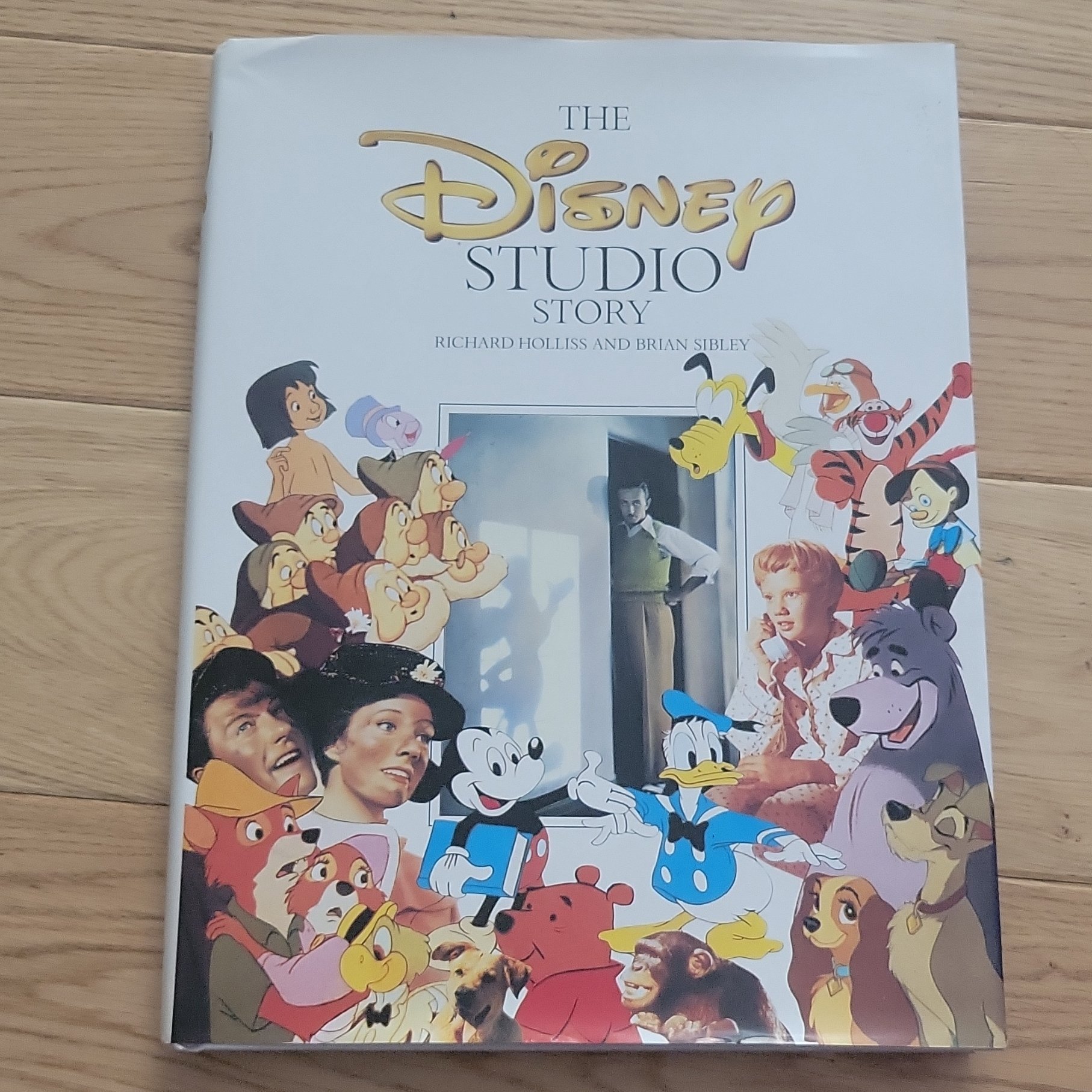 Disney studio book , Disney, One Size, Excellent condition — preloved on SilentSale®