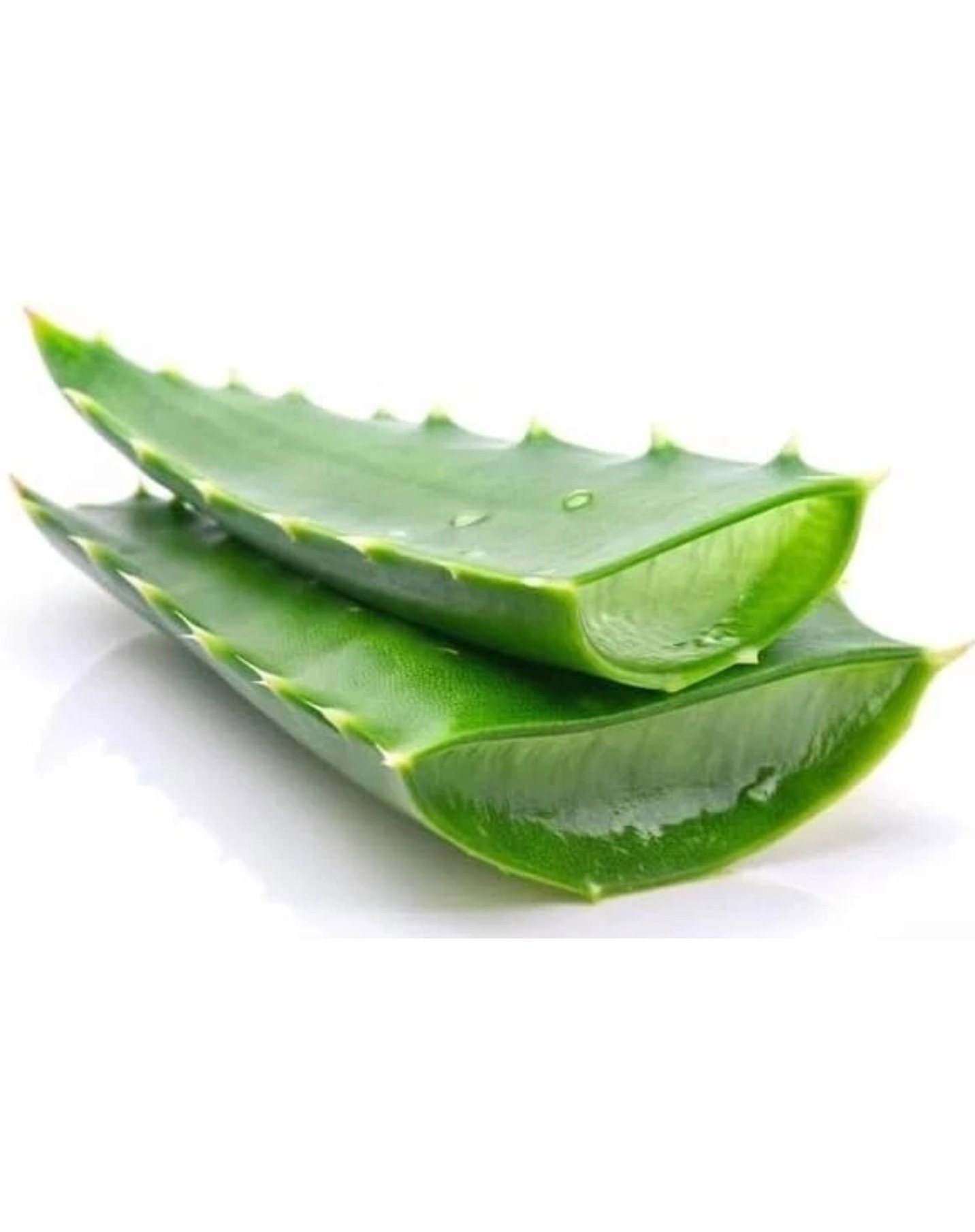 Fresh Aloe Vera Leaf (300g), Fresh, One Size, New condition — preloved on SilentSale®