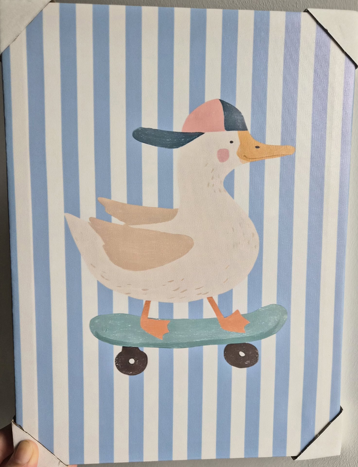 Duck On Skateboard Wall Art Canvas Print, Unbranded, Medium, New condition — preloved on SilentSale®