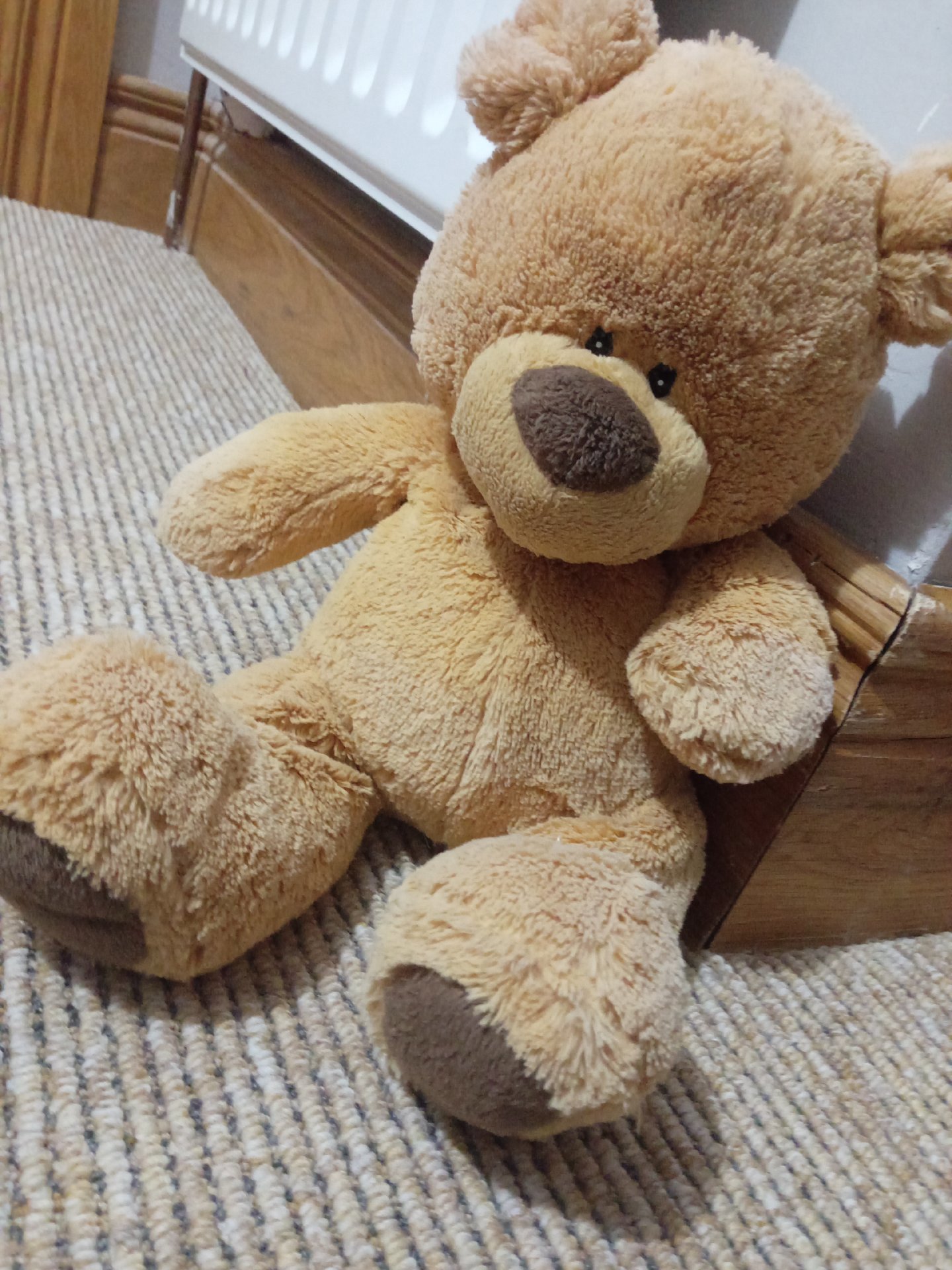 Brown Plush Teddy Bear Soft Toy, Chelsea Football Club, One Size, Excellent condition — preloved on SilentSale®