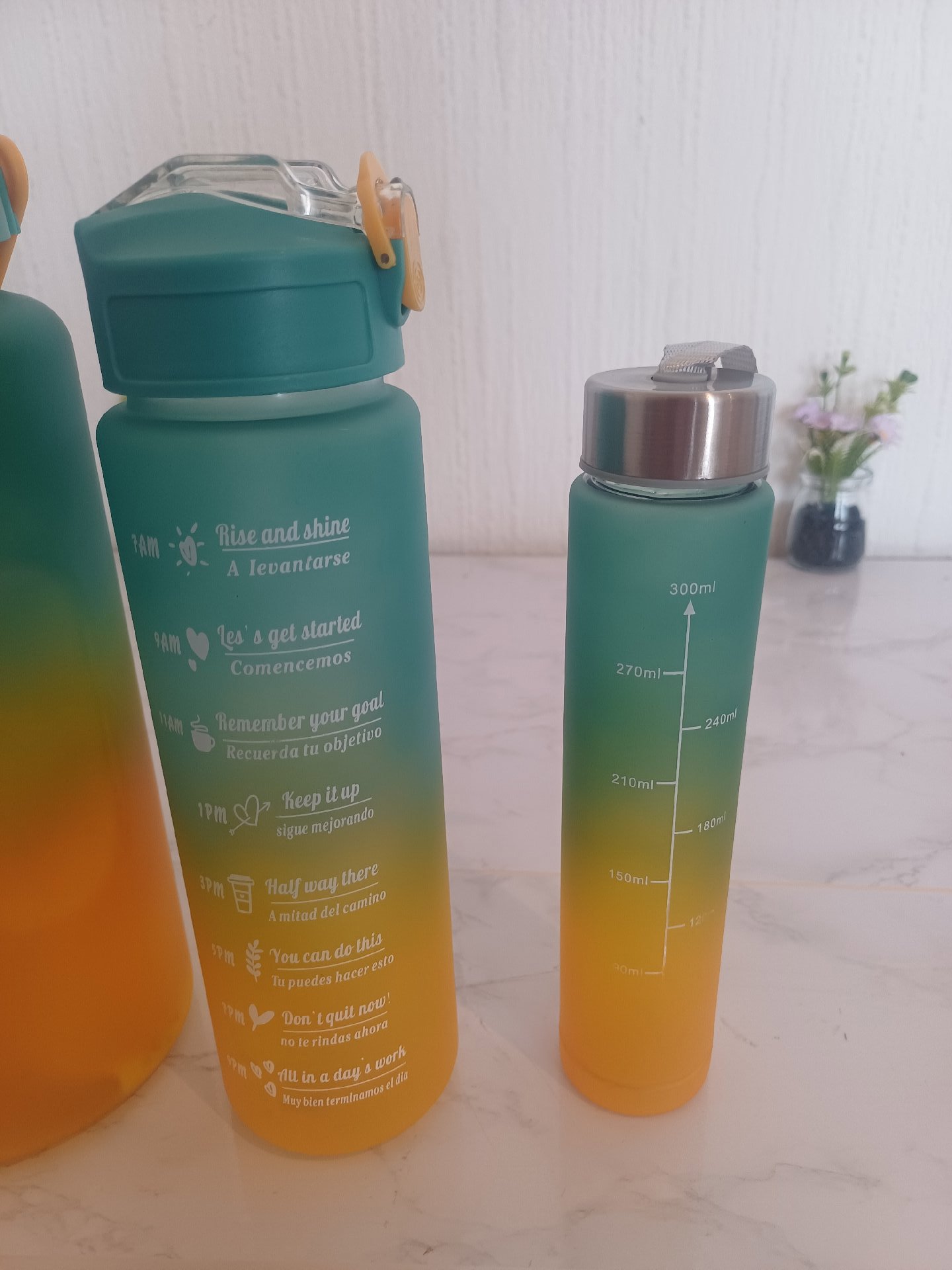 Set of 3 Gradient Water Bottles with Time Markings, TIME, One Size, Excellent condition — preloved on SilentSale®