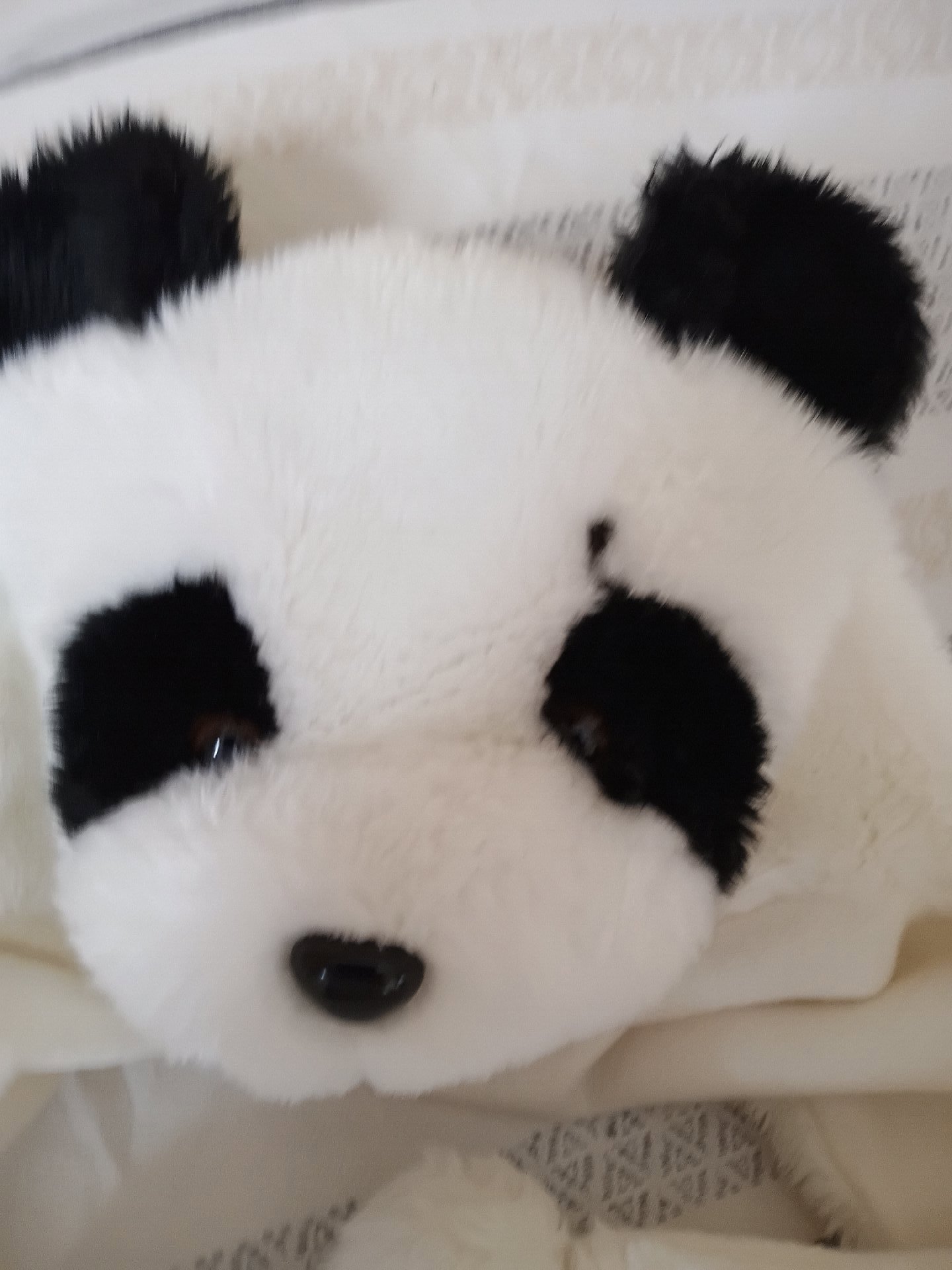 Panda Design Plush Winter Hat One Size, DSL, M, Excellent condition — preloved on SilentSale®