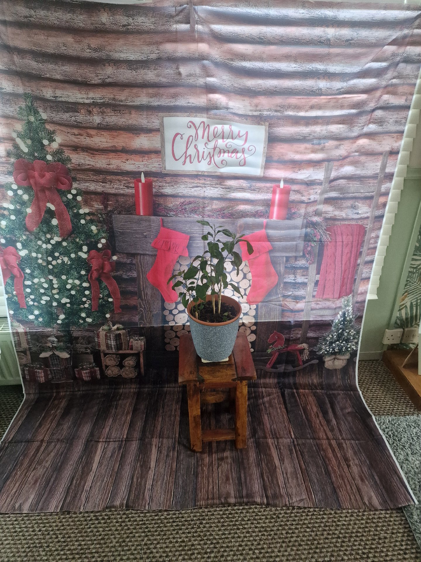 Merry Christmas  Backdrop 5ft x 7ft, Amazon, Extra Large, New condition — preloved on SilentSale®