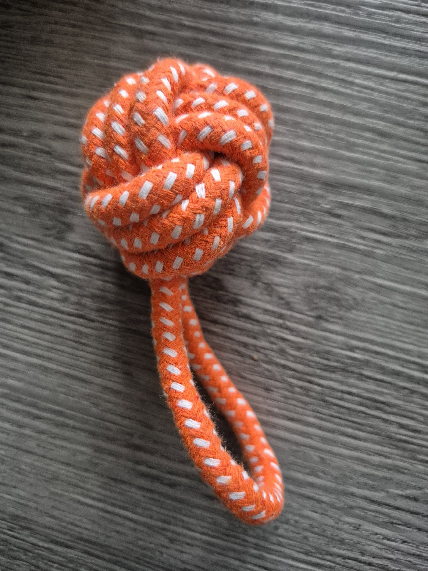 Set of 5 Colourful Rope Dog Chew Toys, Unbranded, One Size, New condition — preloved on SilentSale®