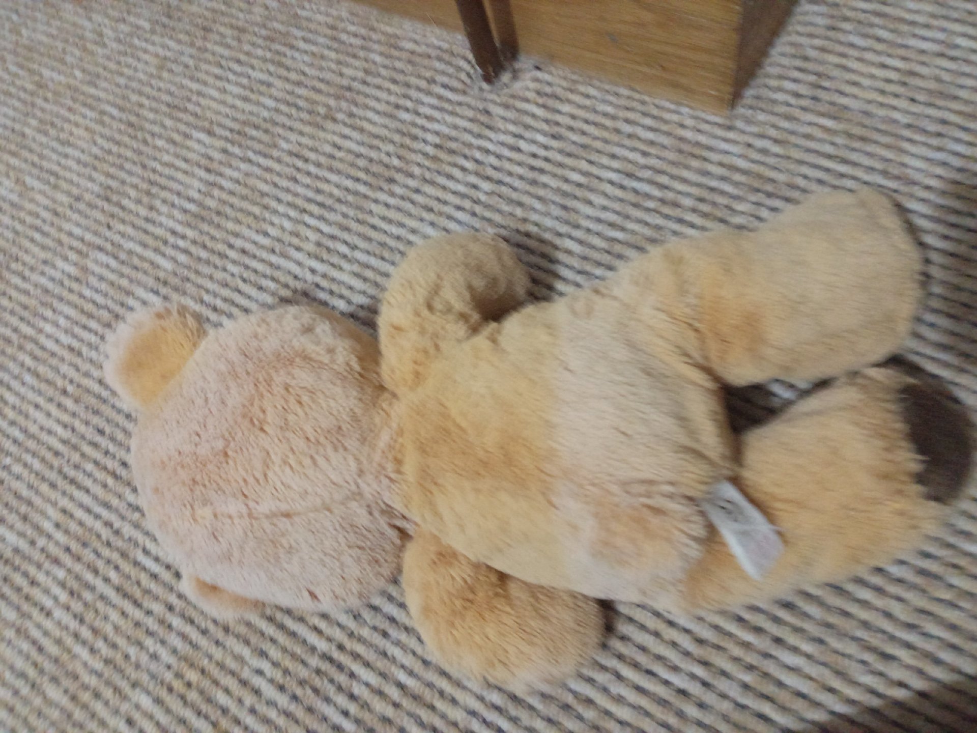 Brown Plush Teddy Bear Soft Toy, Chelsea Football Club, One Size, Excellent condition — preloved on SilentSale®
