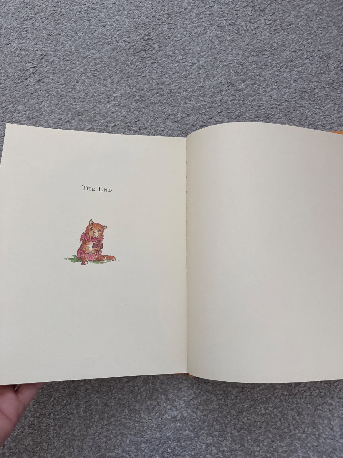 The Spectacular Tale of Peter Rabbit by Emma Thompson, Peter Rabbit, One Size, Excellent condition — preloved on SilentSale®