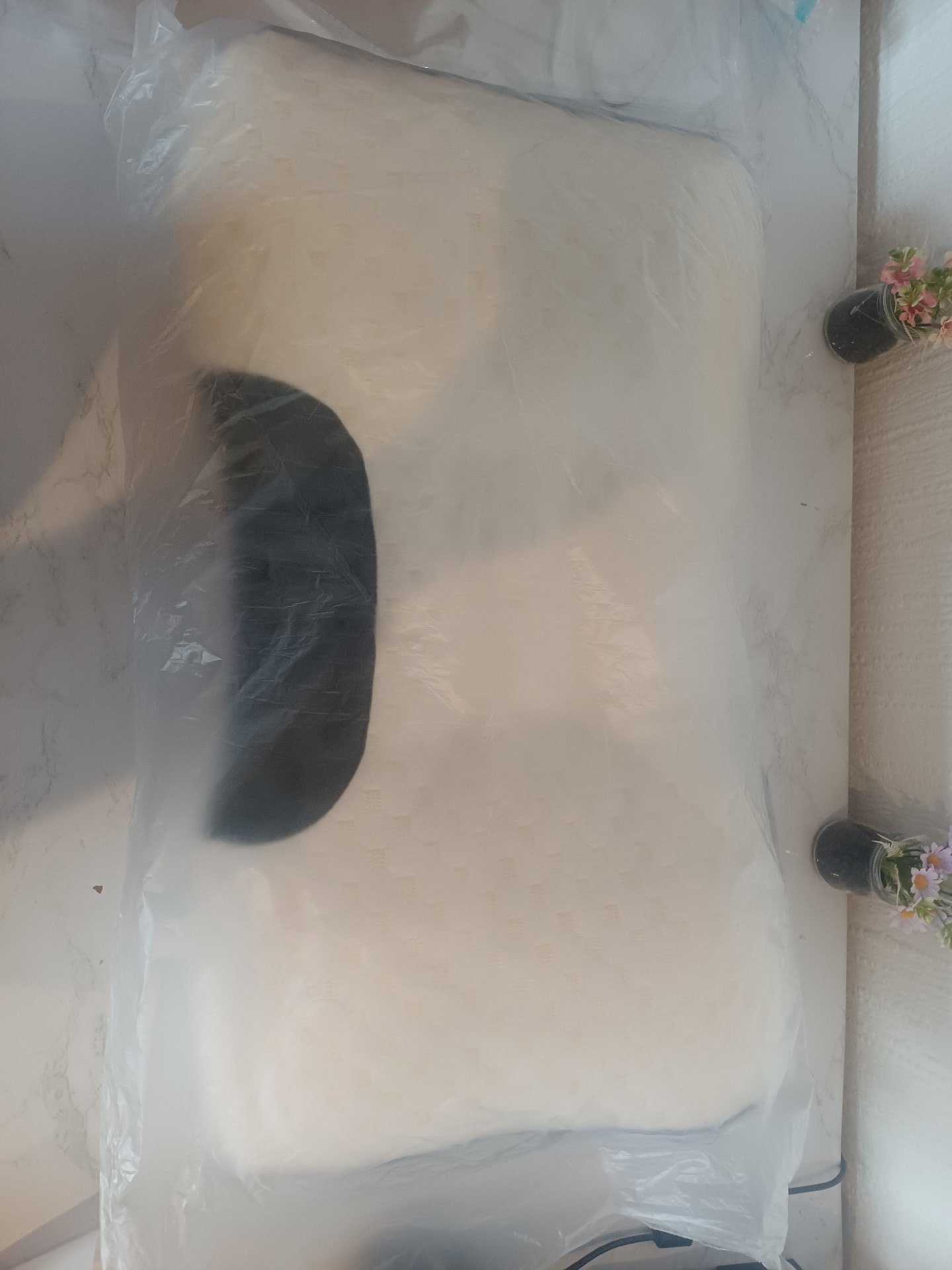 8h Good Sleep Memory Foam Contour Pillow 48x74cm, 8h Good Sleep, 48x74cm, New condition — preloved on SilentSale®
