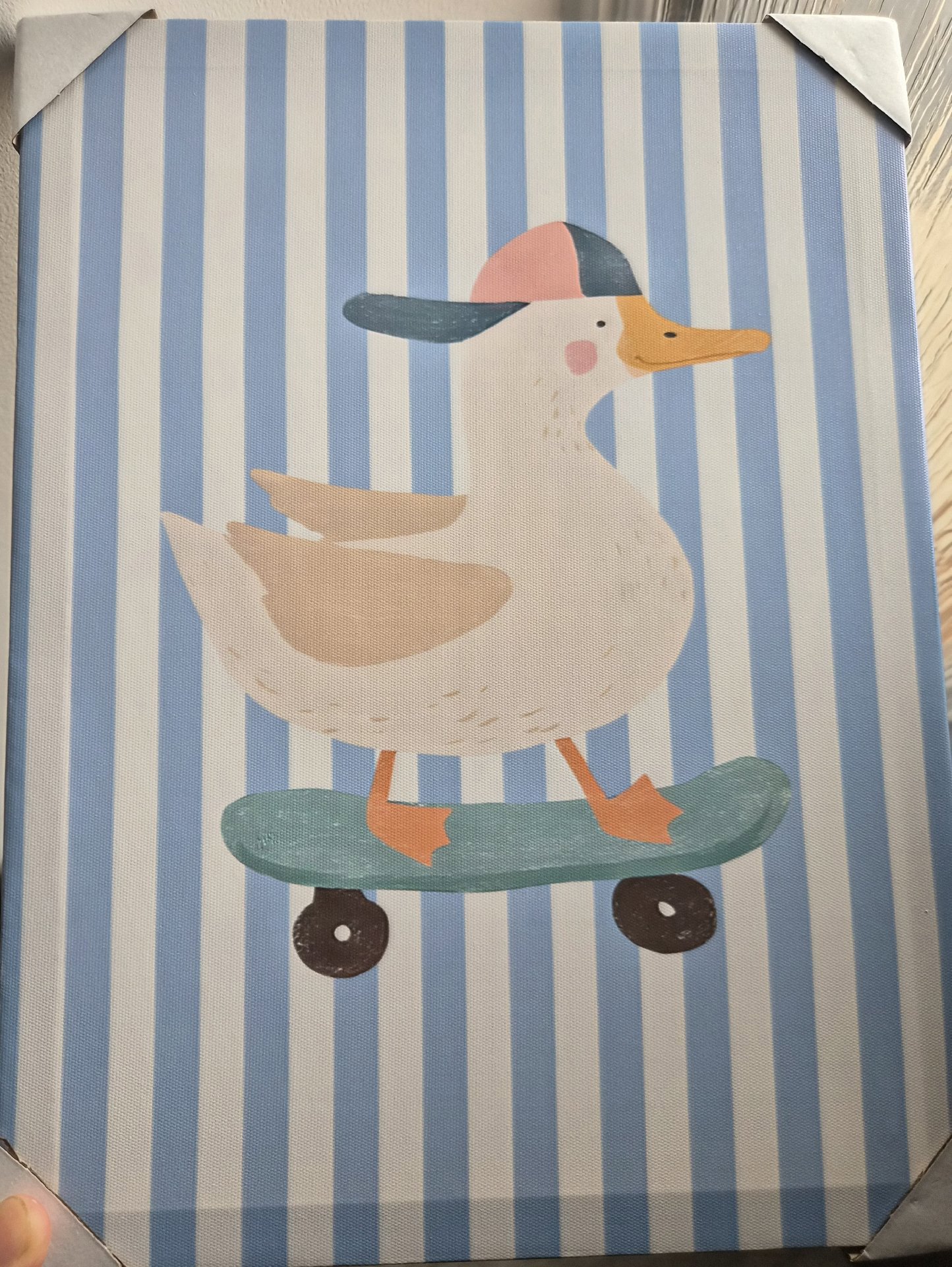 Duck On Skateboard Wall Art Canvas Print, Unbranded, Medium, New condition — preloved on SilentSale®
