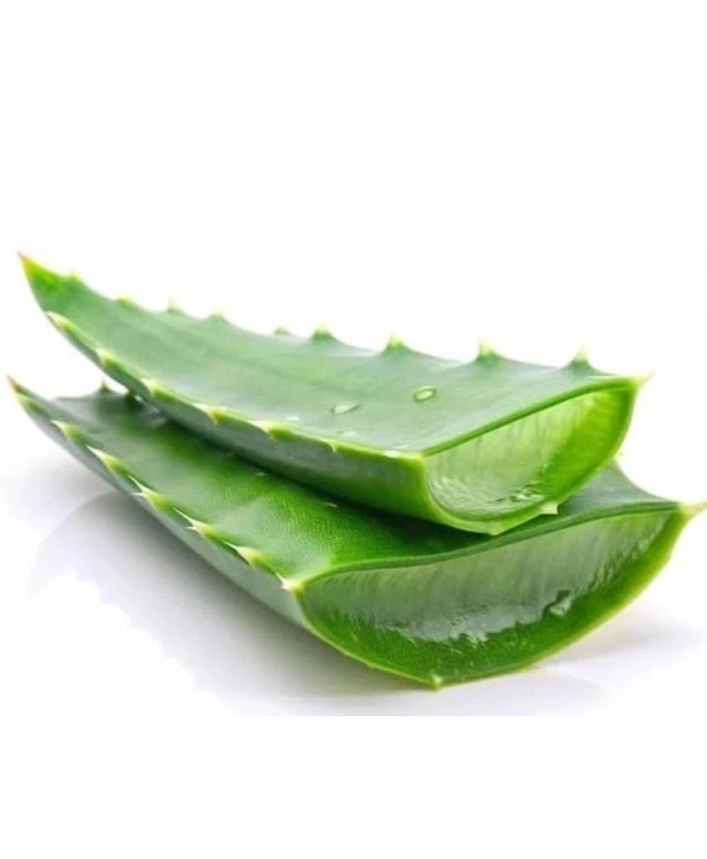Fresh Aloe Vera Leaf (300g), Fresh, One Size, New condition — preloved on SilentSale®