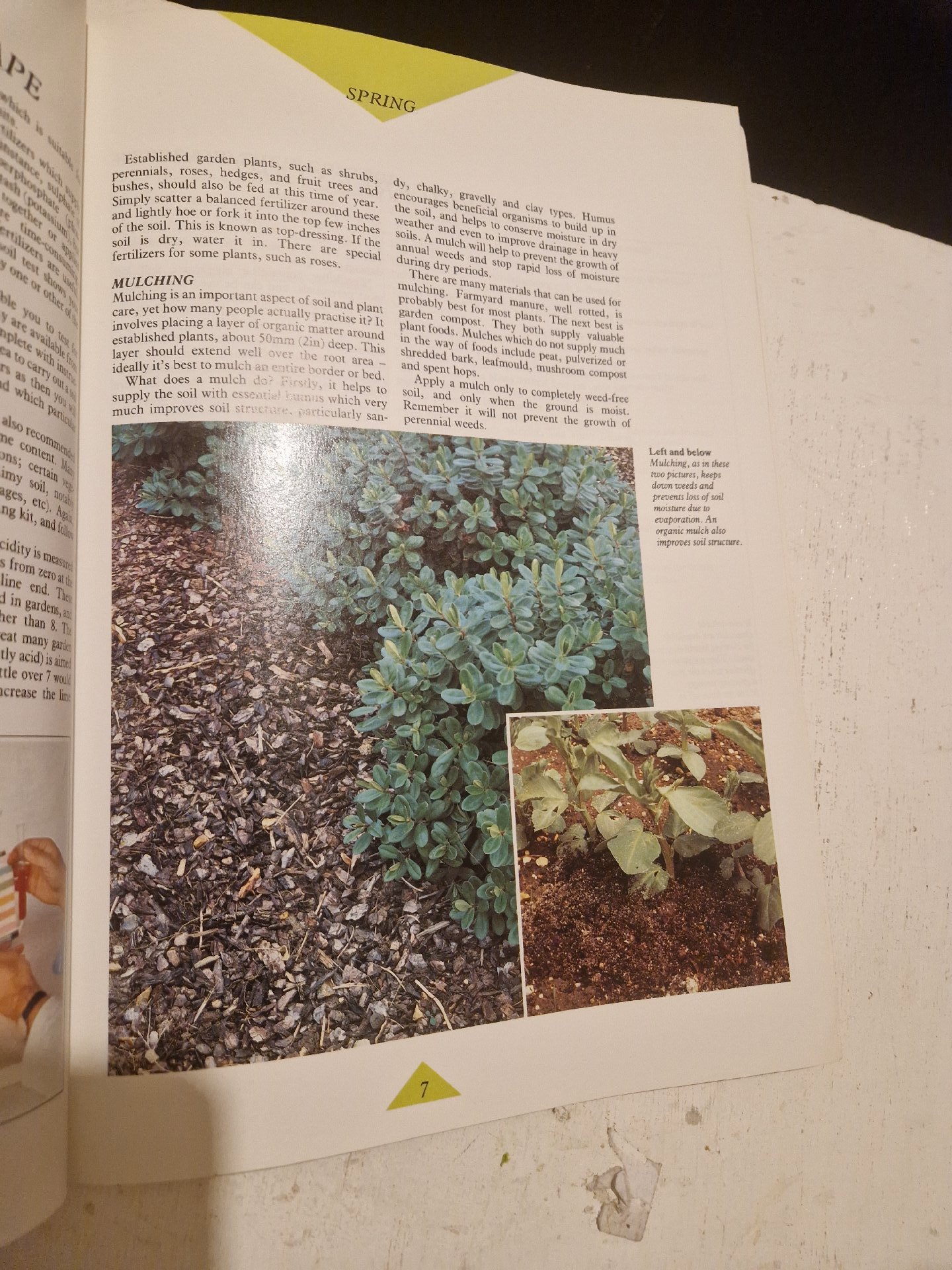 Seasons in the Garden by Alan Toogood Gardening Book 1989, Unbranded, Hardback, Excellent condition — preloved on SilentSale®