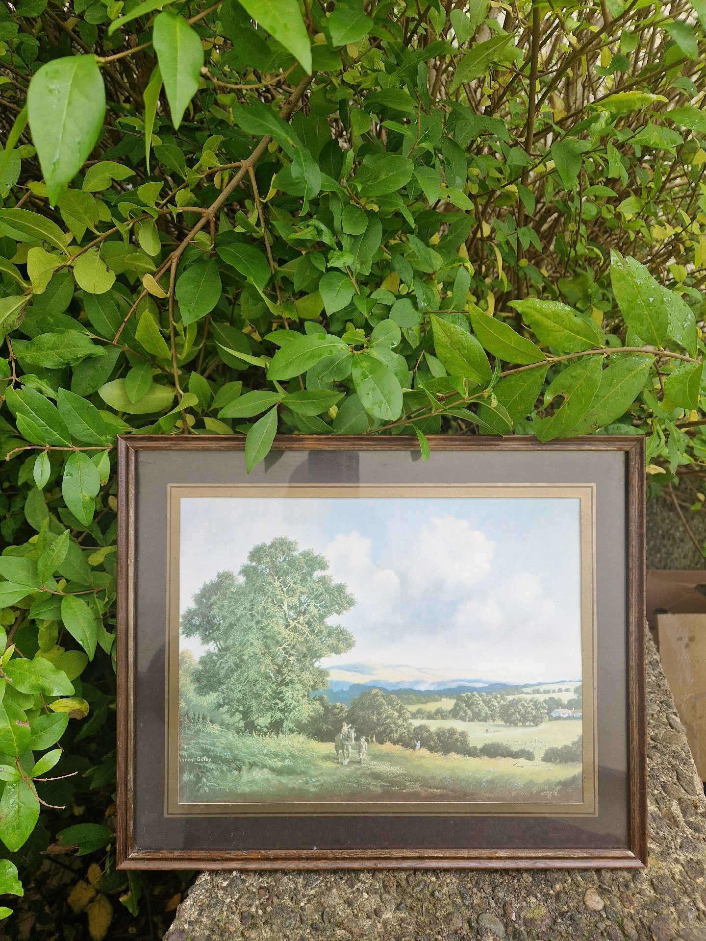 Framed print of pastoral landscape by Vincent Selby, Vincent, One Size, Excellent condition — preloved on SilentSale®