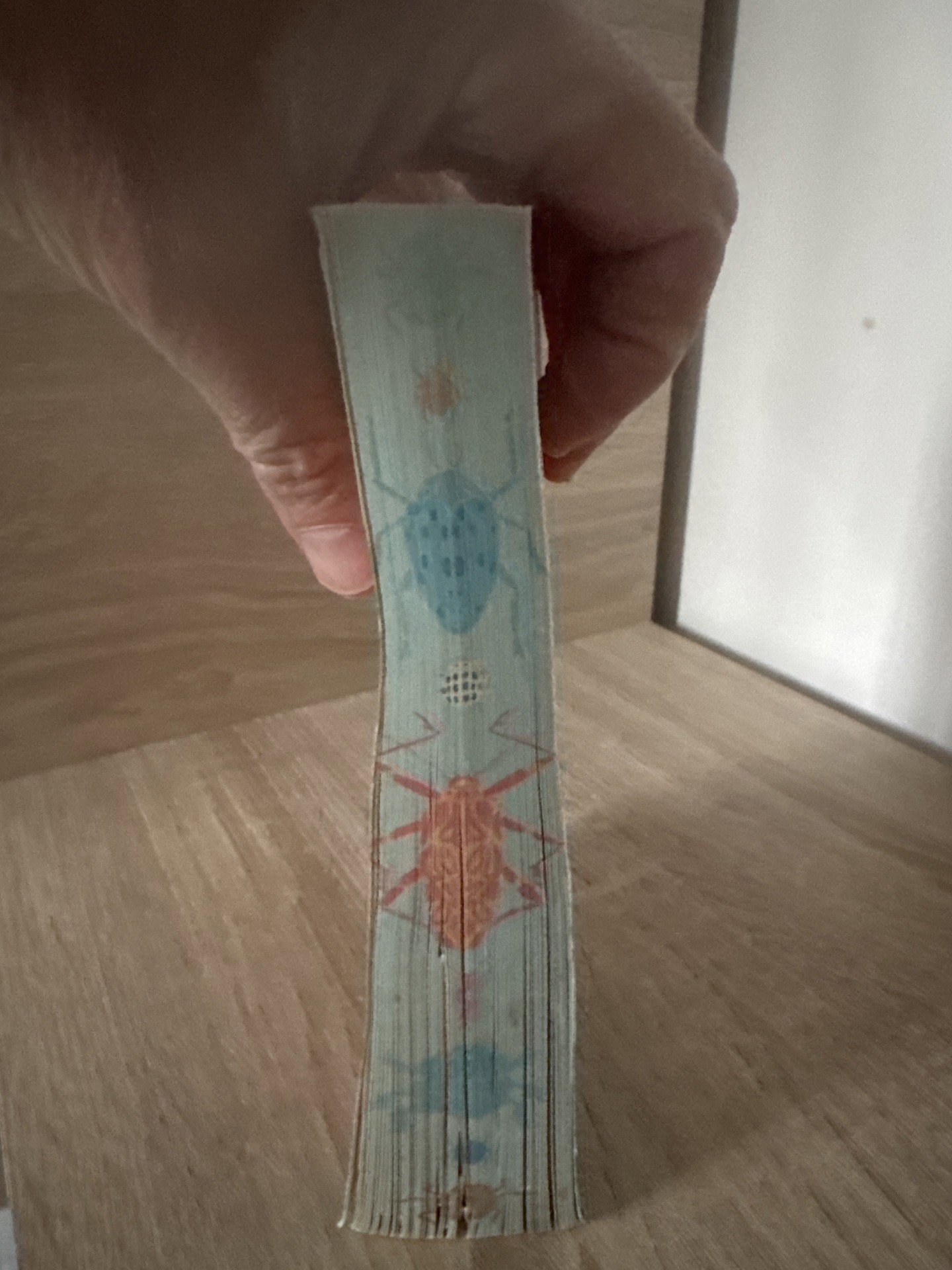 Beetle Boy (The Battle of the Beetles) — M.G. Leonard, Scholastic India, One Size, Good condition — preloved on SilentSale®