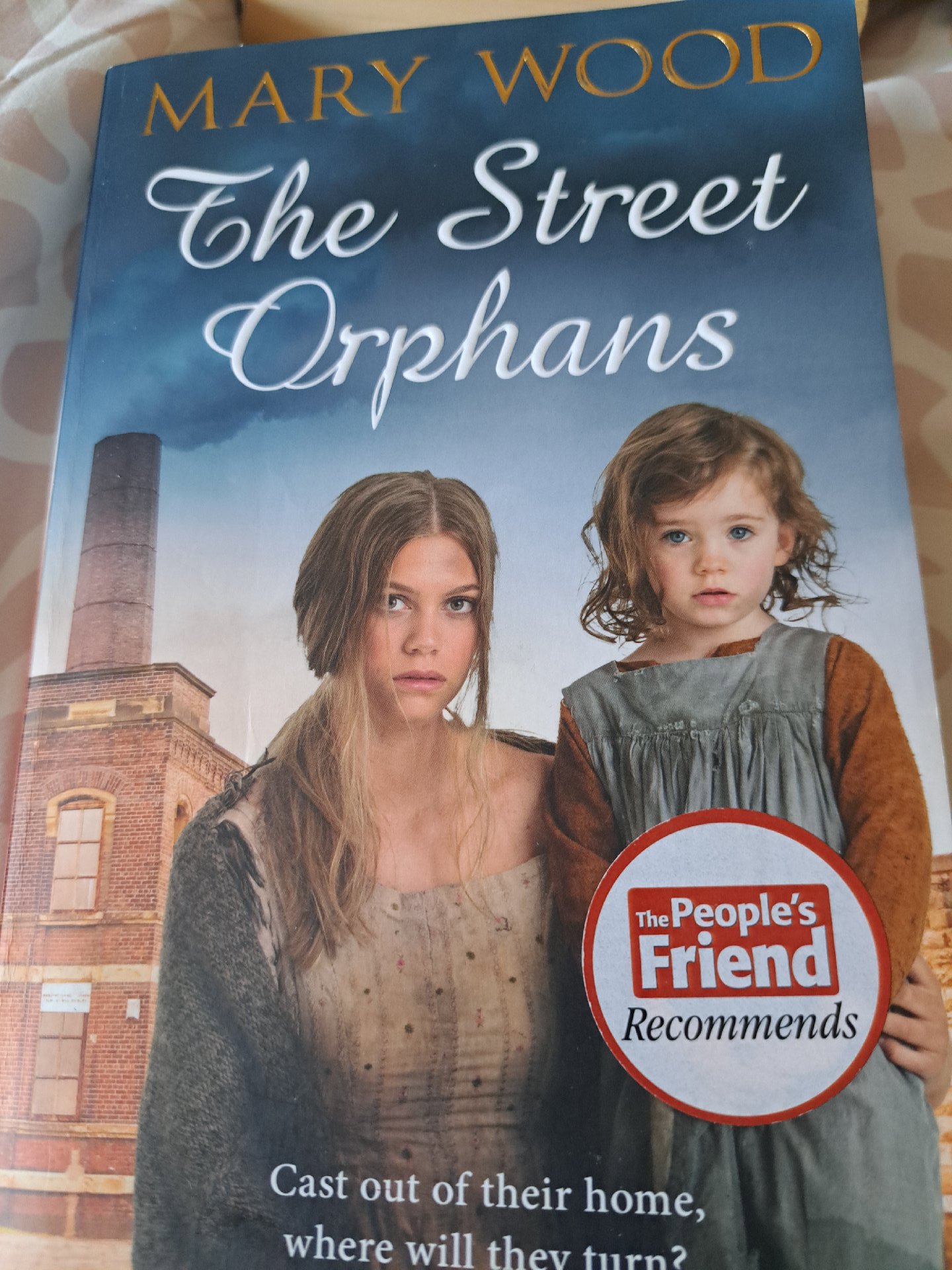 Mary Wood The Street Orphans paperback book , Unbranded, Paperback, Good condition — preloved on SilentSale®