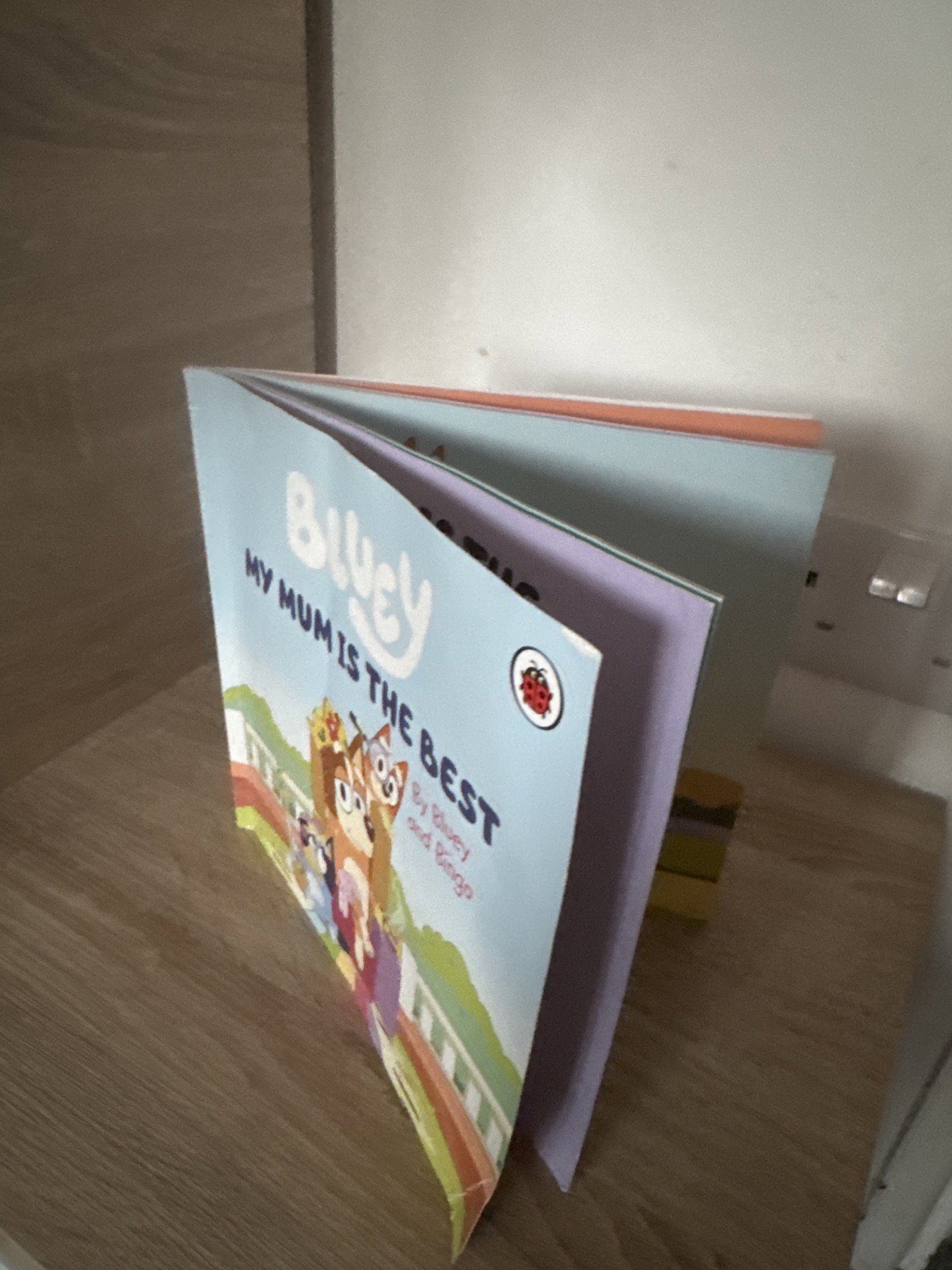 Bluey My Mum Is The Best Children's Book, Unbranded, One Size, Excellent condition — preloved on SilentSale®