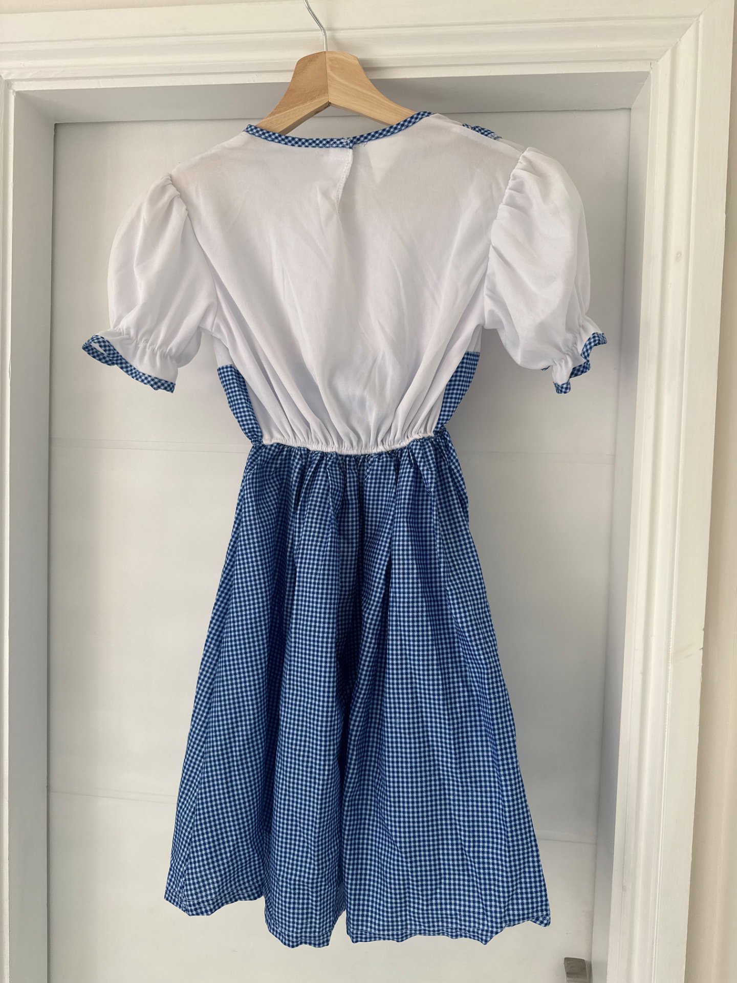 Blue Gingham Fancy Dress Costume – Size M, I Love Fancy Dress, 9-10 years, Good condition — preloved on SilentSale®