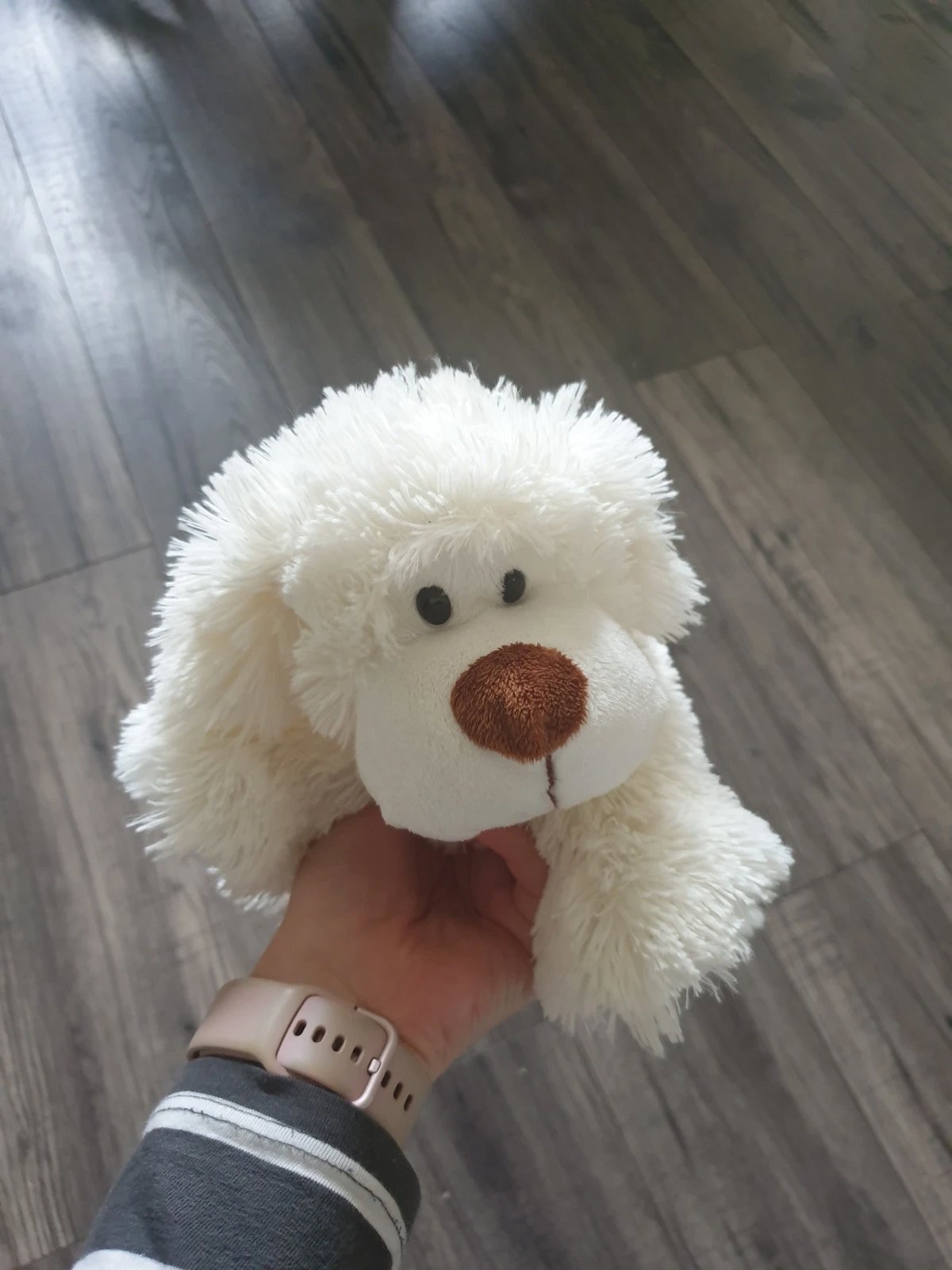 Fluffy dog, Unbranded, One Size, Excellent condition — preloved on SilentSale®