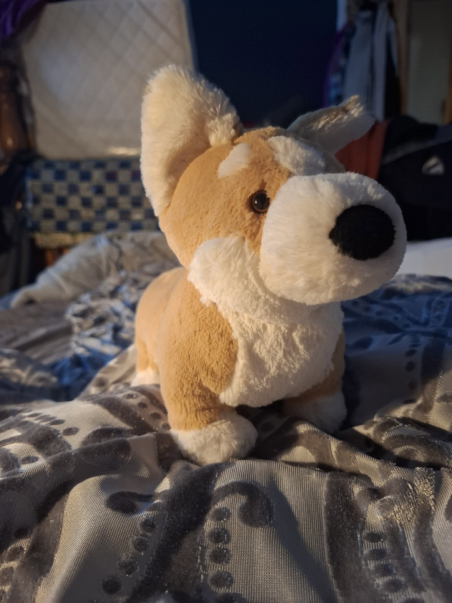 Jellycat Plush Corgi Dog Soft Toy, Jellycat, 2 years, Excellent condition — preloved on SilentSale®