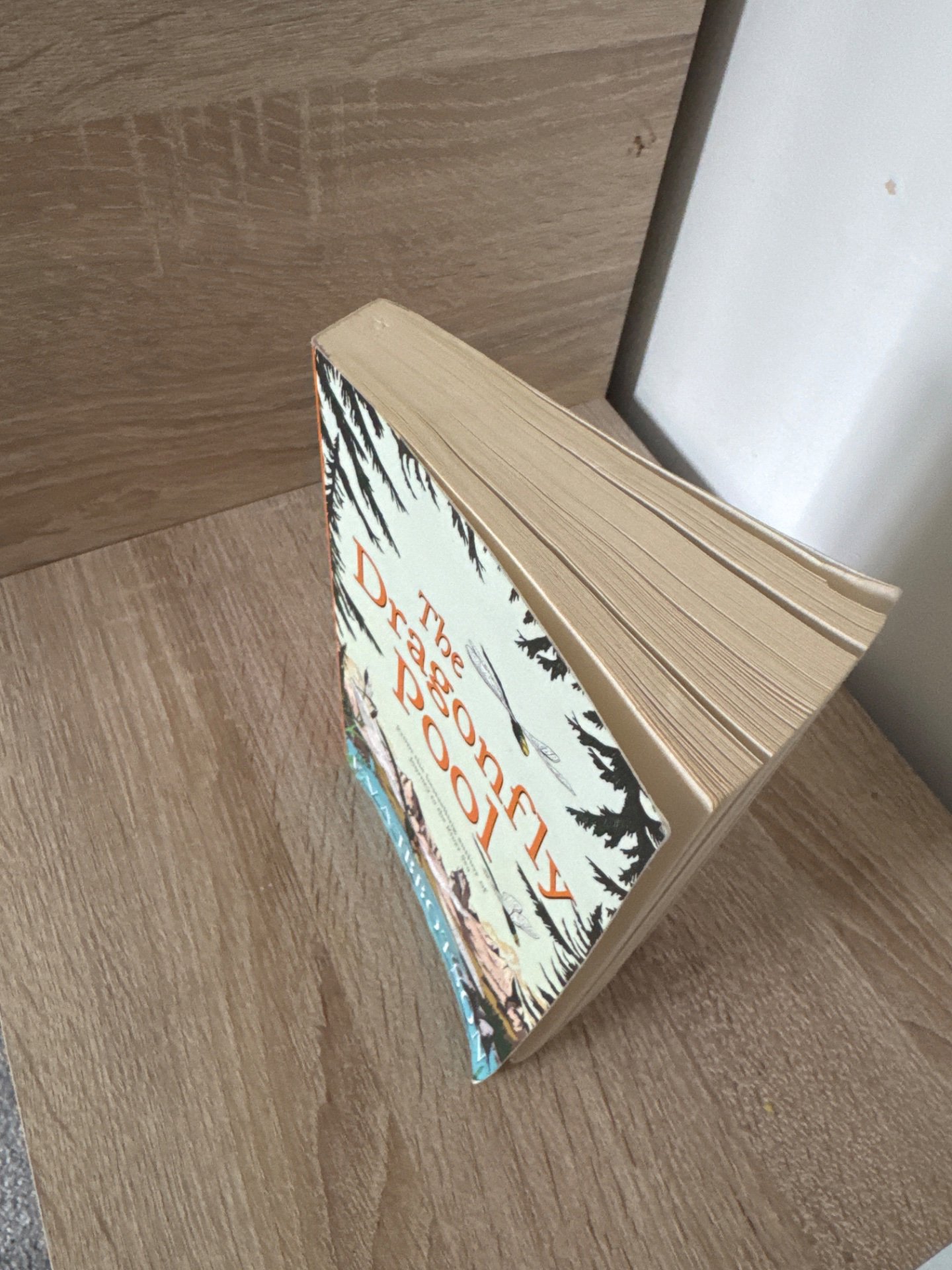 The Dragonfly Pool — Eva Ibbotson, Pan Macmillan, One Size, Excellent condition — preloved on SilentSale®