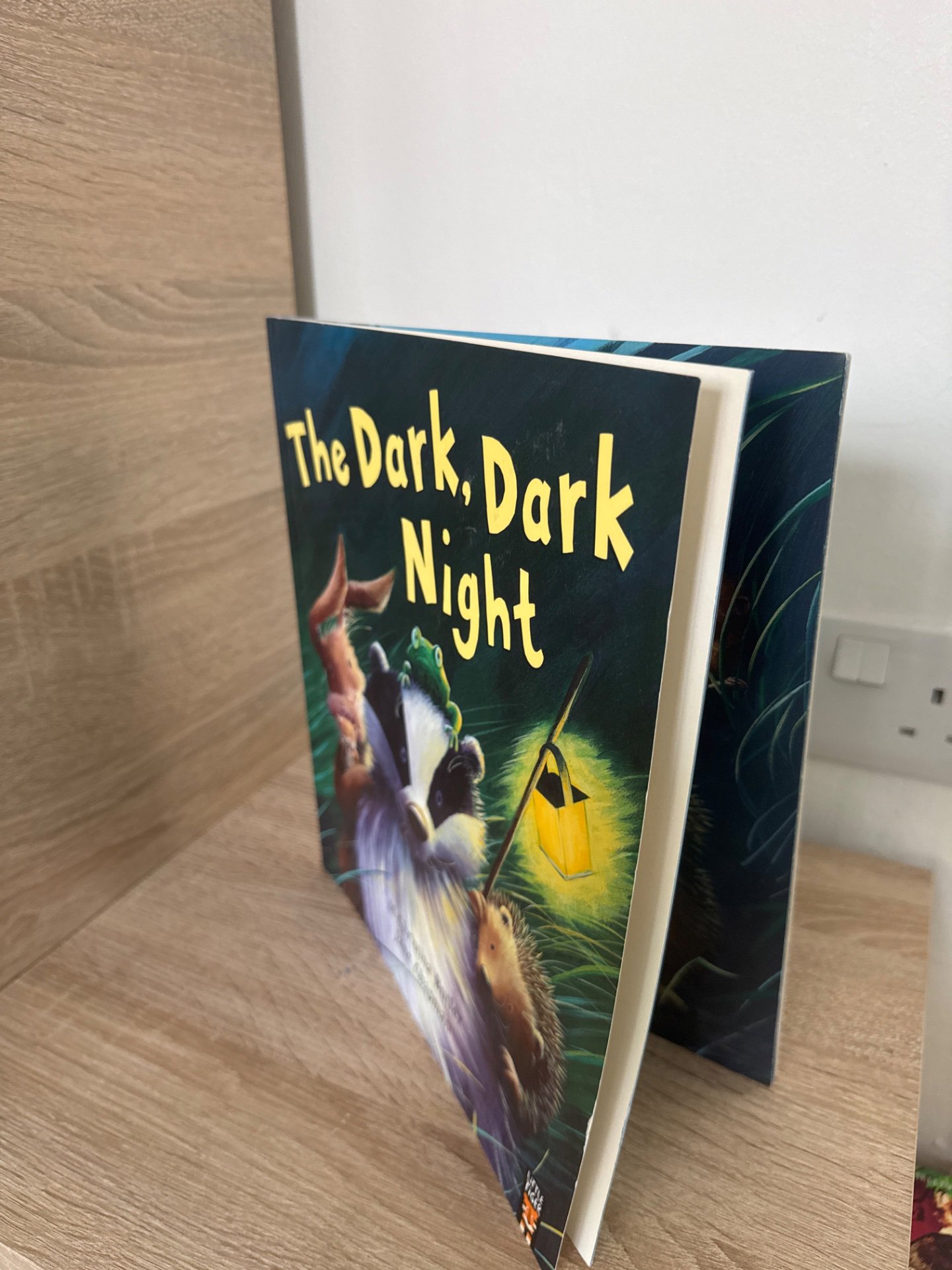 The Dark, Dark Night Children's Picture Book, Unbranded, One Size, Good condition — preloved on SilentSale®